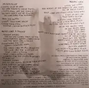 10'' - toyGuitar - Move Like A Ghost - clear