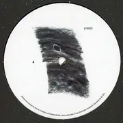 12inch Vinyl Single - TM404 & Echologist - Bass Desires - EP