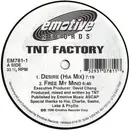 12'' - TNT Factory - Desire