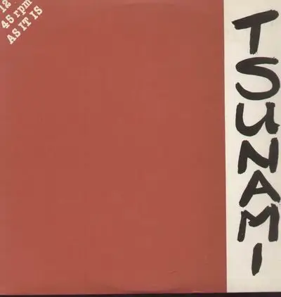 Tsunami - As It Is