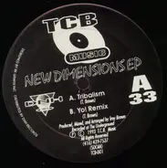 Troy Brown - New Dimensions EP