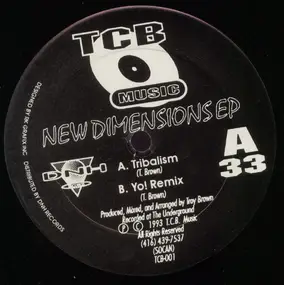 troy brown - New Dimensions EP