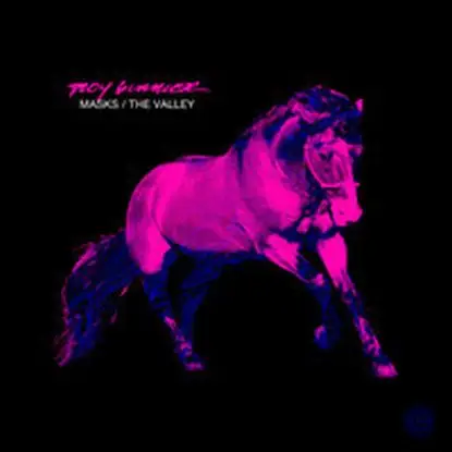 Troy Gunner - Masks/ The Valley