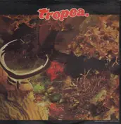 Tropea - Tropea