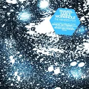 Traversable Wormhole - Traversable Wormhole #1 M.dettmann Rmx