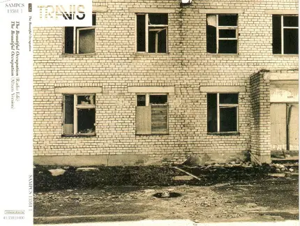 Travis - The Beautiful Occupation