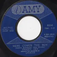 Tracey Dey - Here Comes The Boy