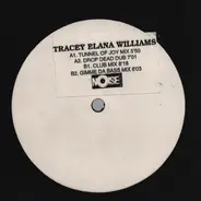 Tracey Elana Williams - Tunnel of Joy