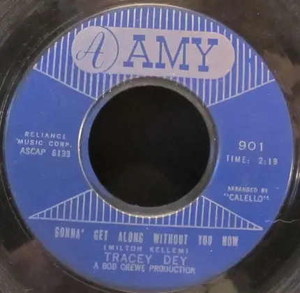 Tracey Dey - Gonna' Get Along Without You Now