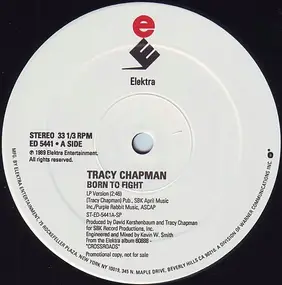 Tracy Chapman - Born To Fight