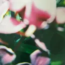 LP - Trade Wind - You Make Everything Disappear - Neon Pink, Ltd Ed