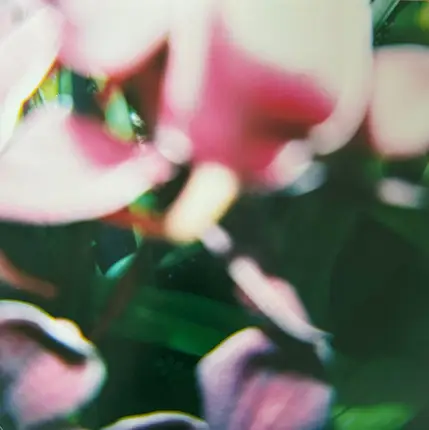 Trade Wind - You Make Everything Disappear