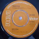 7inch Vinyl Single - Tradition - Breezing
