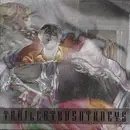 7inch Vinyl Single - Trailer Trash Tracys - You Wish You Were Red