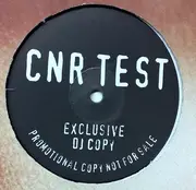 12inch Vinyl Single - Traisey Elena Williams - Feel The Fire - Promo