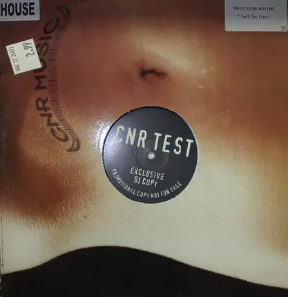 Traisey Elena Williams - Feel The Fire