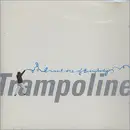 CD - Trampoline - I Want One Of Everybody