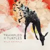 LP - Trampled BY Turtles - Wild Animals - RECORDED IN THE LEGENDARY PACHYDERM STUDIOS