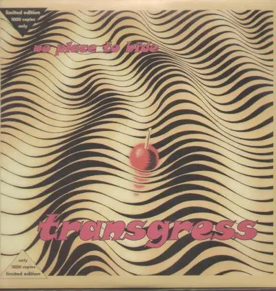Transgress - No Place To Hide Vol.1