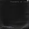 2 x 12inch Vinyl Single - Transits Of Tone - Synthesized Therapy