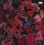 LP - Translator - Translator