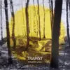 LP - Trapist - The Golden Years