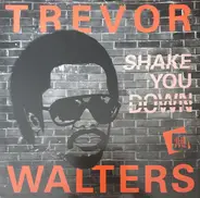 Trevor Walters - Shake You Down