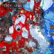 Trey Gunn - I'll Tell What I Saw