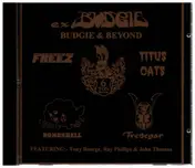 Tredegar - Ex-Budgie: Budgie & Beyond