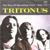 7inch Vinyl Single - Tritonus - The Way Of Spending Time / Kite