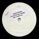 12inch Vinyl Single - Trix & Flix Feat. Shaggy - Like A Superstar