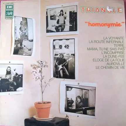 Triangle - Homonymie