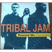 Tribal Jam - Remind Me