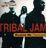 Tribal Jam - Remind Me