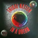 12inch Vinyl Single - Tribal Nation - In A Dream