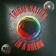 12inch Vinyl Single - Tribal Nation - In A Dream