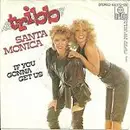 7inch Vinyl Single - Tribb - Santa Monica