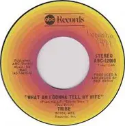 Tribe - What Am I Gonna Tell My Wife / Think People
