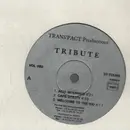 12inch Vinyl Single - Tribute - Acid Intermed