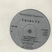 12inch Vinyl Single - Tribute - Acid Intermed