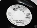 7inch Vinyl Single - Trickster - Tomorrow Belongs To Me