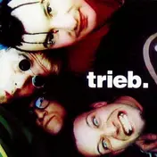 Trieb. - Groove Nation