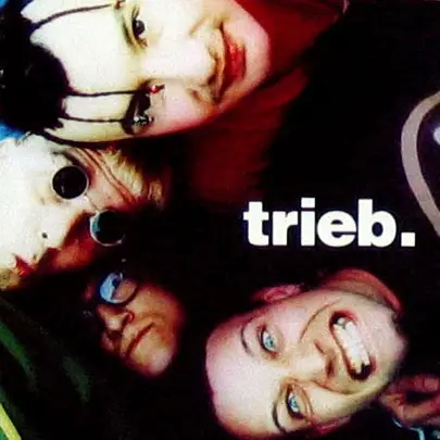 Trieb. - Groove Nation