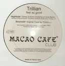 12inch Vinyl Single - Trillian Miles - Feel So Good