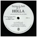 12inch Vinyl Single - Trin-i-tee 5:7 - Holla