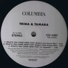 Trina & Tamara - What'd You Come Here For? (Remixes)