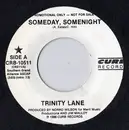 7inch Vinyl Single - Trinity Lane - Someday, Somenight