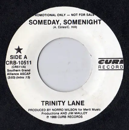 Trinity Lane - Someday, Somenight