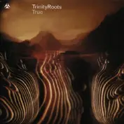 Trinity Roots