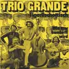 7inch Vinyl Single - Trio Grande - Tigerlischottisch
